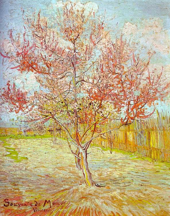 Vincent Van Gogh Peach Tree in Bloom